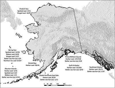 Brucella Antibodies in Alaskan True Seals and Eared Seals—Two Different Stories